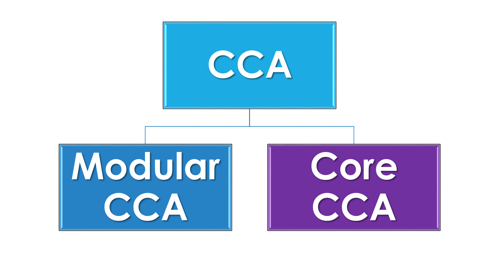 Co-Curricular Activities (CCA)
