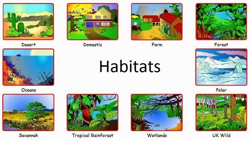 Habitats1.jpg